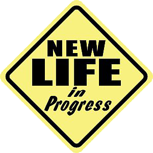 Anger and New Beginnings new_life_in_progress
