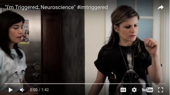 Some Light Relief – Neuroscience and Conflict Resolution (Video) Some Light Relief – Neuroscience and Conflict Resolution (Video)